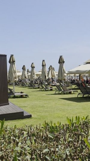 VOYAGE....VOYAGE BELEK