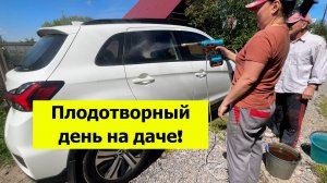 Мою машину, спасаем яблоню, пилим доски, посадила перцы! Плодотворный день на даче!