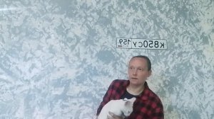 22-05-2026 история одного кота 😽