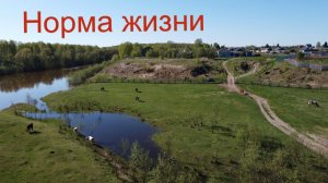 Деревня готовиться к новому сезону. Что нового у нас?