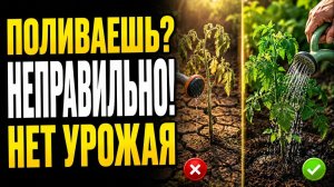 Как правильно поливать огород — 90% делают ошибку