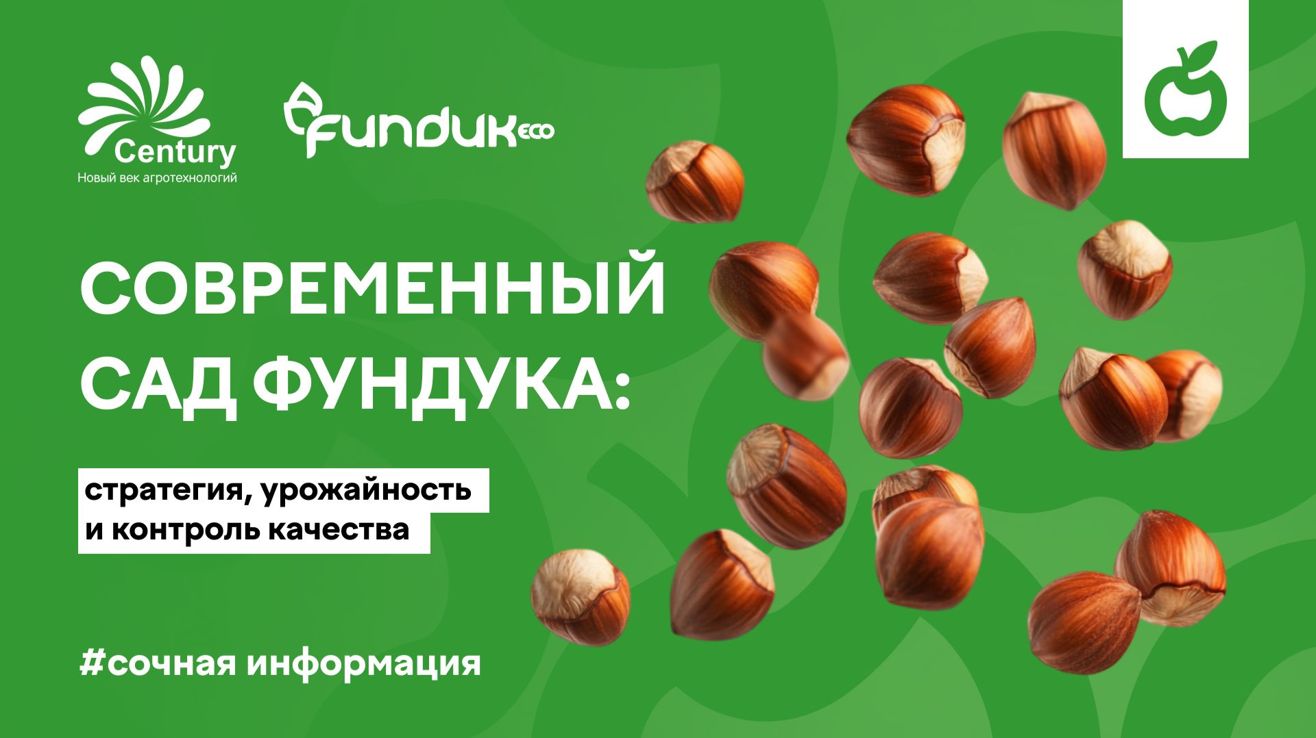 Современный сад фундука: стратегия, урожайность и контроль качества
