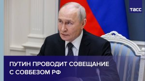 Путин проводит оперативное совещание с Советом безопасности в режиме видеоконференции