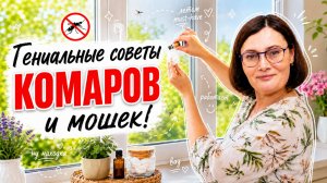Больше не кусают! Как избавиться от мух и комаров копеечными средствами из аптеки.