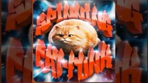 SPINNING CAT FUNK