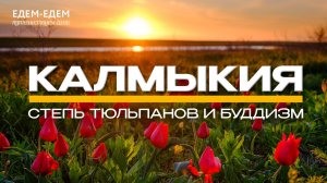 ❤️ЕДЕМ-ЕДЕМ НА ФЕСТИВАЛЬ ТЮЛЬПАНОВ В ЭЛИСТУ