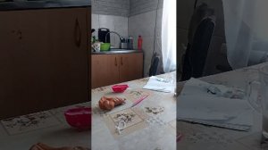 Ева играет в школу