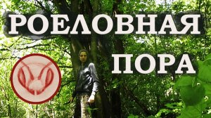 Роеловная пора