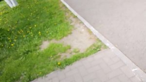 в парке Таганская свабада