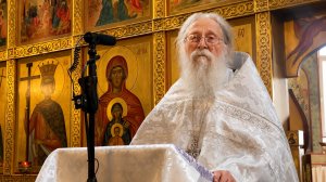 Жених Каны Галилейской. Проповедь отца Геннадия Фаста на память апостола Симона Кананита 23.05.2026