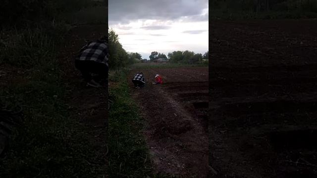 Ева Сажает горох смотреть онлайн
