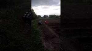 Ева Сажает горох
