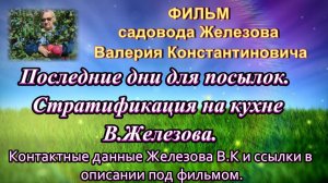 Последние дни для посылок. Стратификация на кухне В.Железова.