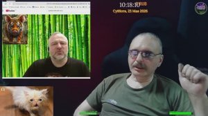 Бумажный тигр или дурилка картонная.