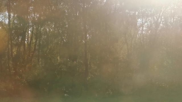 Эт2м Детскосельская - Царское село