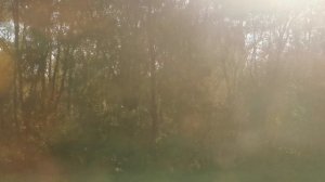 Эт2м Детскосельская - Царское село