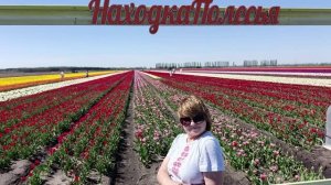 Белорусский вояж: продолжение пути..
