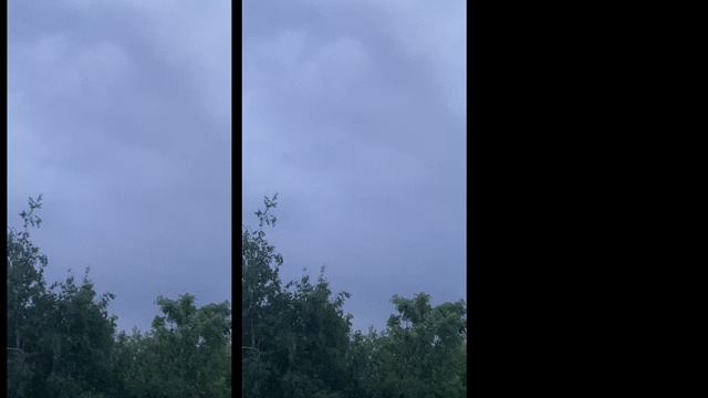 Москва. Пение птиц на рассвете