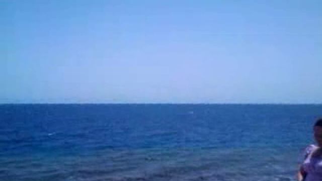 Прогулка вдоль моря на верблюдах смотреть онлайн