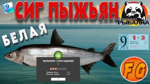 СИГ ПЫЖЬЯН на реке Белая. Юбилейные задания. Этап 1 Задание 3. Русская рыбалка 4. Russian Fishing 4