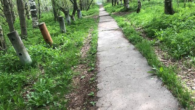 Прогулку никто не отменял (съёмка в конце мая)