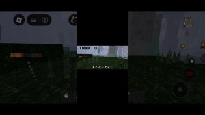 1000025693.mp4