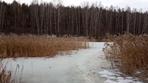 АРХИВ 19-Й ГОД. ЖИЗНЬ В ДЕРЕВНЕ. ОЗЕРО. У ЛЁШИКА ТРОФЕЙ.