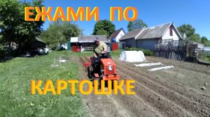 Ежами по картошке