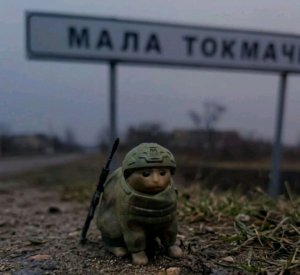 открываю смп на 10 подписчиков