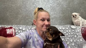 Большое спасибо Ирине за подарок, во вторник буду вручать хвостатым.