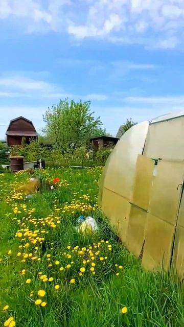 0523 (1) смотреть онлайн