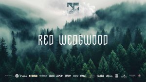 SKILLS ADULTS BEGINNERS | RED WEDGWOOD | WIDE VIEW
