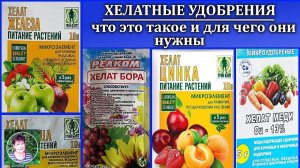 Хелатные удобрения: что это такое, как применять и в чем их преимущества