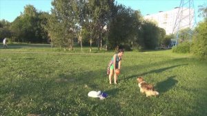 2024 Лета.10.07 Левобережный