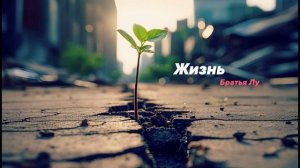 Братья Лу - Жизнь
