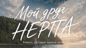 Мой друг нерпа