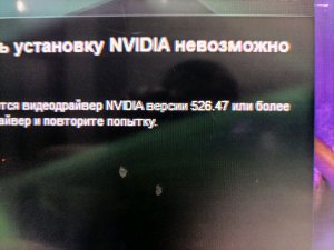 играем в абобус