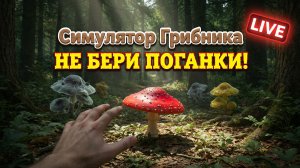 Симулятор Грибника — Первый взгляд на самую красивую игру о лесе 🌲