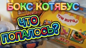 «Три кота'-Какие ИГРУШКИ  в боксе попались  Рите и Ане по акции в Бургер Кинге.