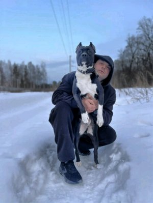 зима