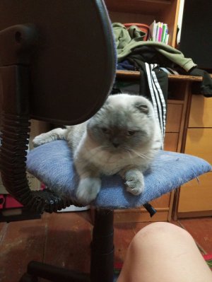 глагол