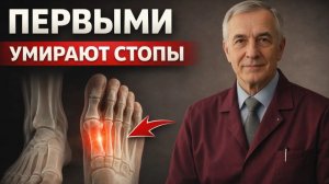Почему СТОПЫ - самые ГЛАВНЫЕ для жизни БЕЗ ИНВАЛИДНОСТИ