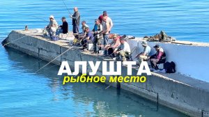 АЛУШТА и её ПРОФЕССОРСКИЙ УГОЛОК. ОТДЫХАЮЩИЕ любуются КРИСТАЛЬНОЙ ВОДОЙ. РЫБАКИ СОРЕВНУЮТСЯ ЗА УЛОВ