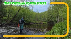 Форелевый ручей в мае. Обновки для ходовой рыбалки в деле