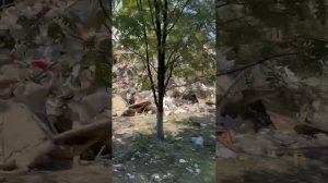 ❗На месте удара по общежитию колледжа в Старобельске продолжаются спасательные работы