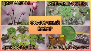 Фиалочный базар.