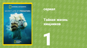 Тайная жизнь хищников 1 серия (документальный сериал, 2013)