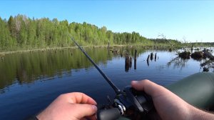Рыбалка, д.М.Рыбаково. (17.05.2026)