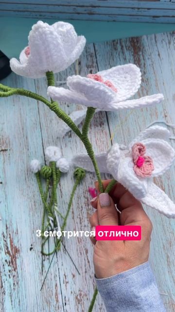 Орхидея. Логическое объяснение