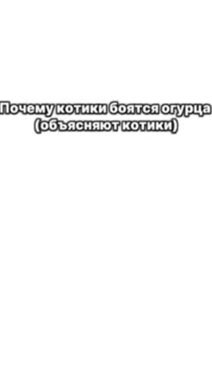 Почему котики боятся огурца смотреть онлайн